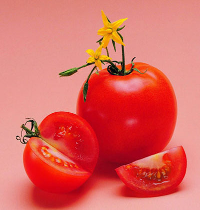 common/upload/2010/8/7/91928MH.jpg