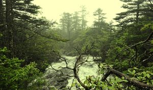 common/upload/2012/6/26/16493783.jpg
